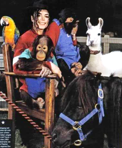 MJ-and-animals.png